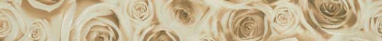  Bliss beige border 01 600х65 мм - 12 шт.