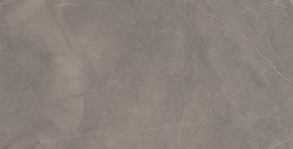 Splash Grey Керамогранит серый 60х120 Сатинированный Карвинг