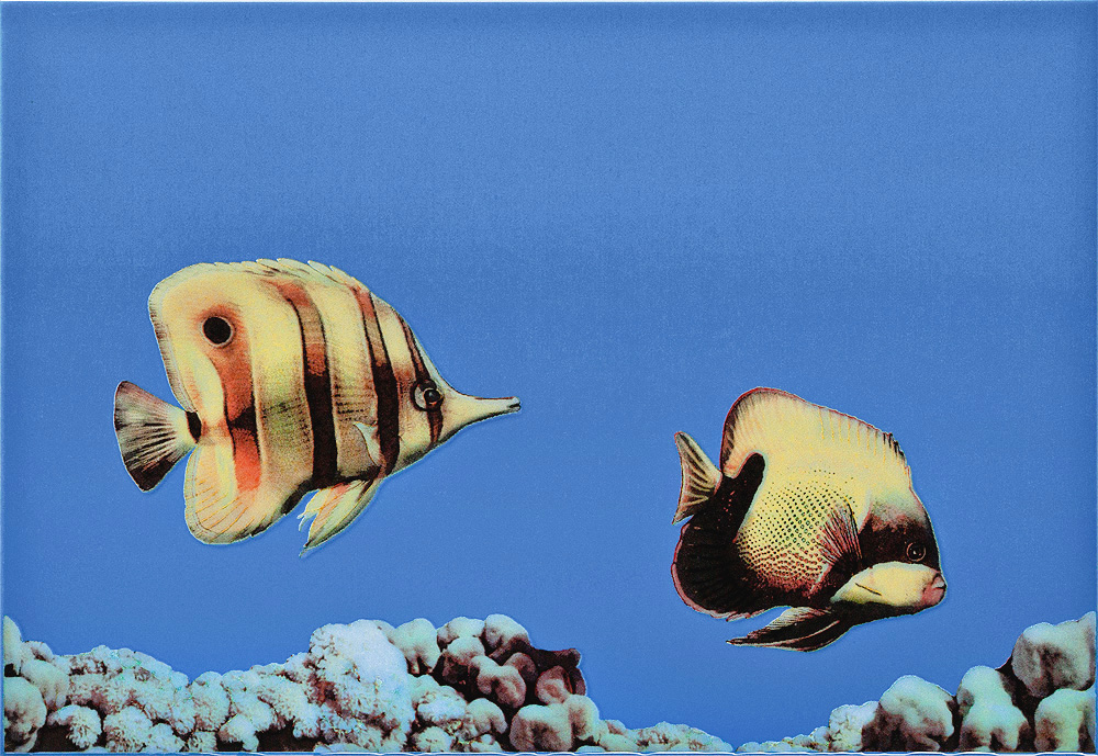  MONO FISH 3 Декор 27,5х40