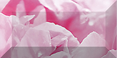  Peony Бордюр рельефный br1020D281-2 20х10