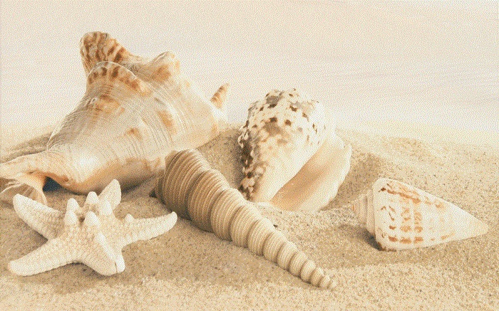  Amalfi sand decor 01 250х400 мм - 13 шт.