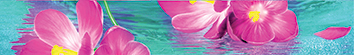  Ocean flowers B300D240 Бордюр 30х4,5