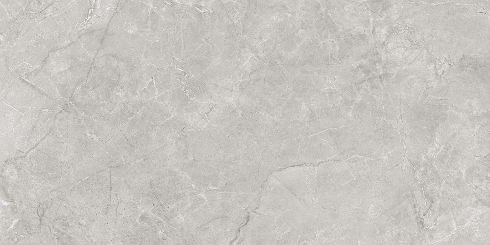  Pluto Silver Керамогранит светло-серый SG50005220R 59,5х119,1 матовый