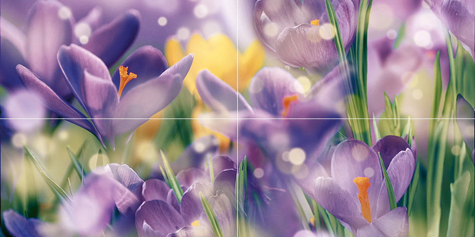  Crocus Панно P4D286 80х40 (из 4 плиток)